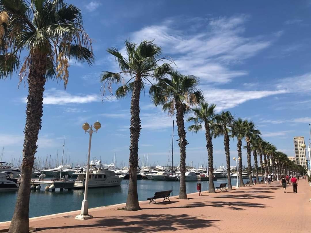 Estudio De Lujo Casaturis En El Corazon De Alicante A114 Eksteriør bilde