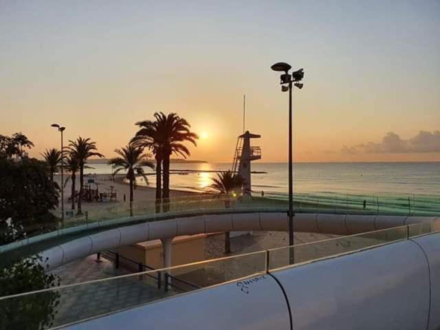 Estudio De Lujo Casaturis En El Corazon De Alicante A114 Eksteriør bilde